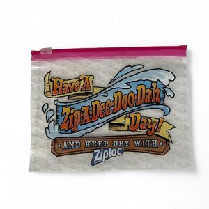 Disney World Splash Mountain Ziploc Bag